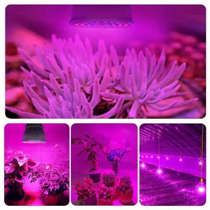 1pc LED Plant Light Cup E27 Red And Blue Light - Growth Light Succulent Seedling Planting And Supplementary Full Spectrum Light
