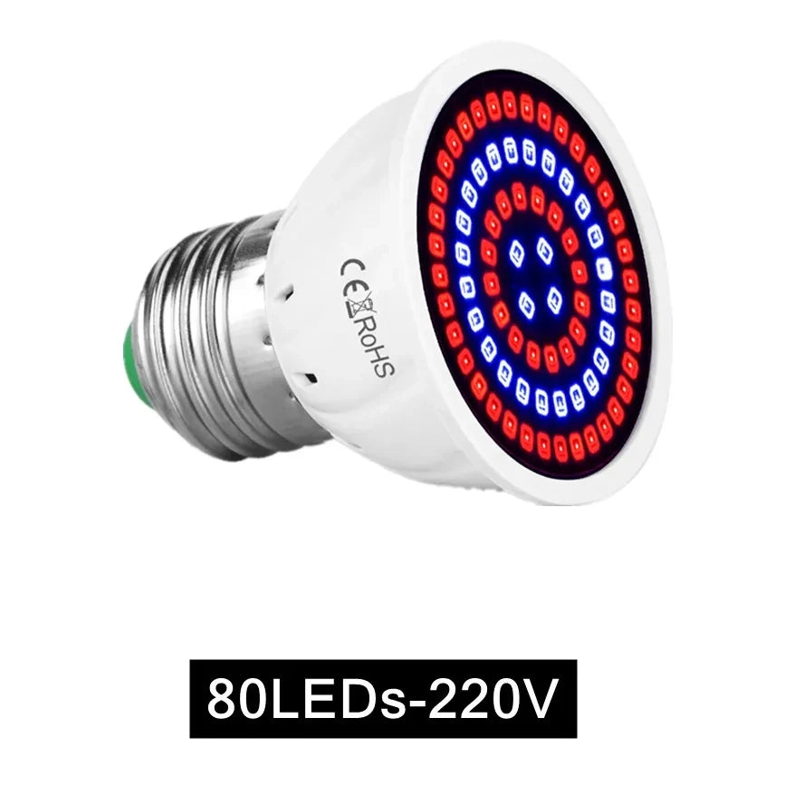 1pc LED Plant Light Cup E27 Red And Blue Light - Growth Light Succulent Seedling Planting And Supplementary Full Spectrum Light
