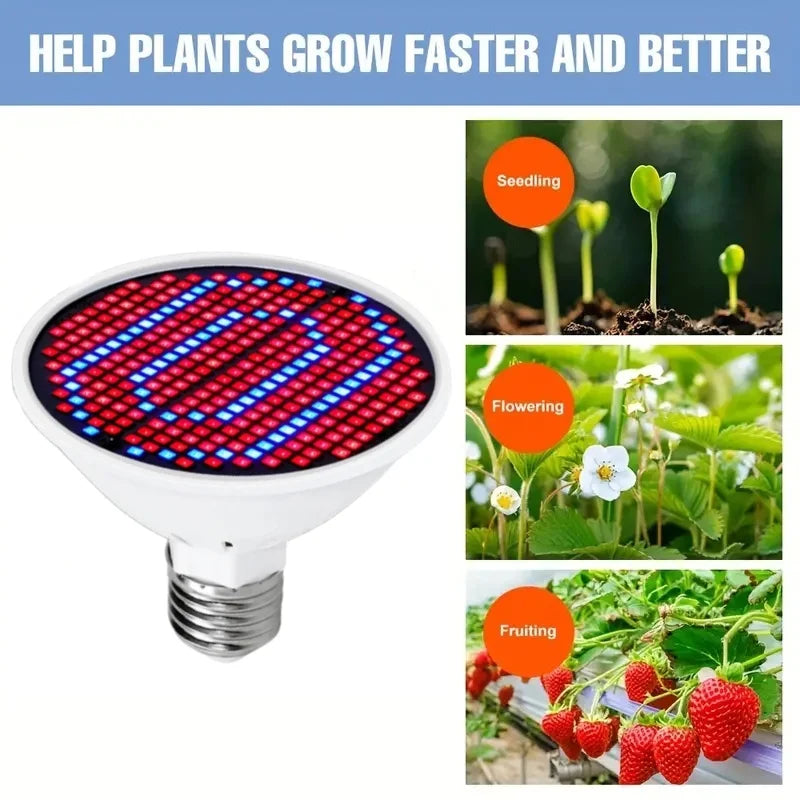 1pc LED Plant Light Cup E27 Red And Blue Light - Growth Light Succulent Seedling Planting And Supplementary Full Spectrum Light